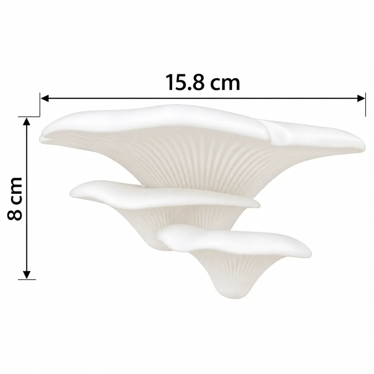 MushRoom – Estante de Pared Decorativa Multifuncional