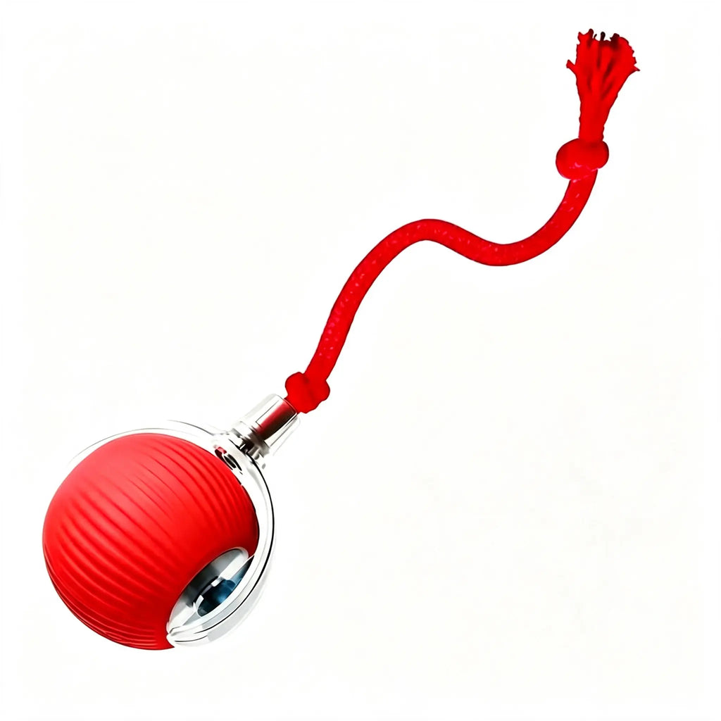 PawRoll – Pelota Interactiva Automática para Gatos