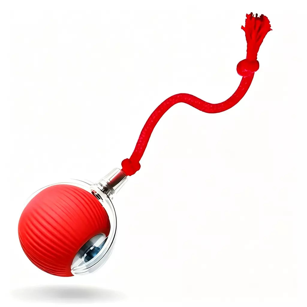 PawRoll – Pelota Interactiva Automática para Gatos