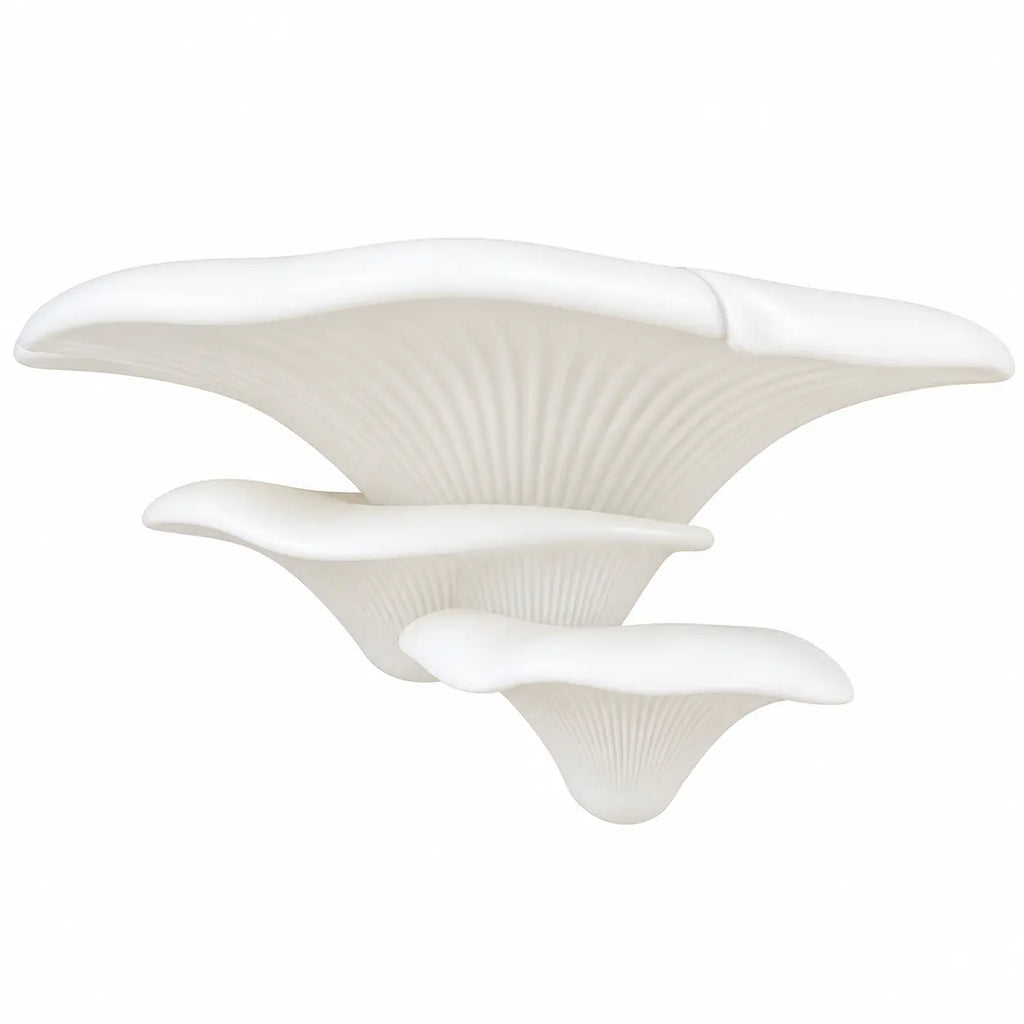 MushRoom – Estante de Pared Decorativa Multifuncional