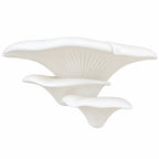 MushRoom – Estante de Pared Decorativa Multifuncional